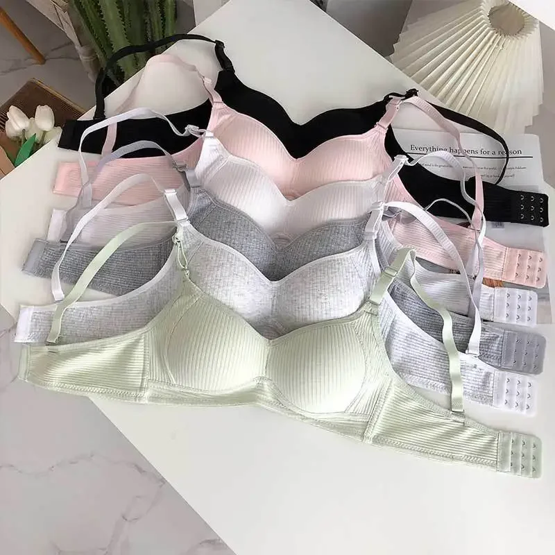 Set Bra Mulus Wanita Celana Da - Cotton Bra Everyday ulasan dan harga